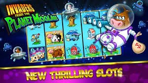 9131 bet